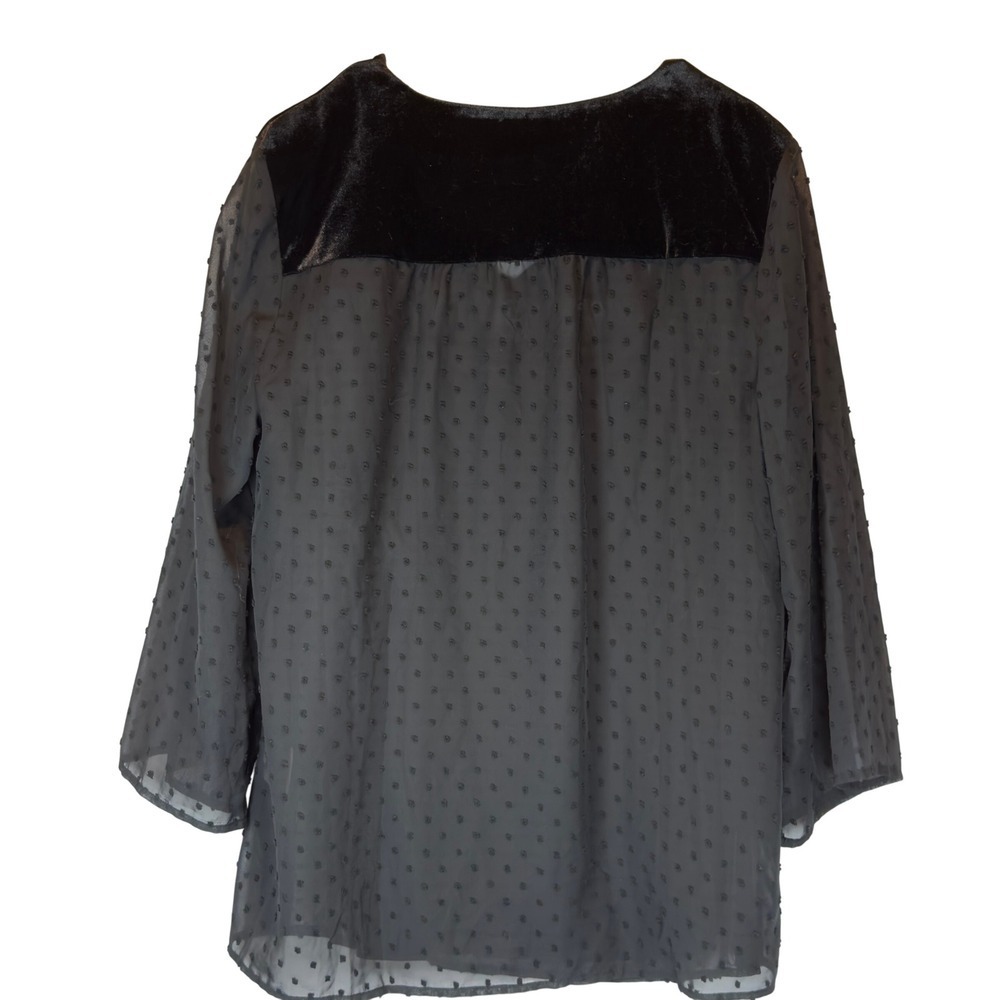 NEW Black Whimsigoth Sheer Swiss Dot Blouse M Velvet Embroidery Fairy Grunge - Picture 3 of 8